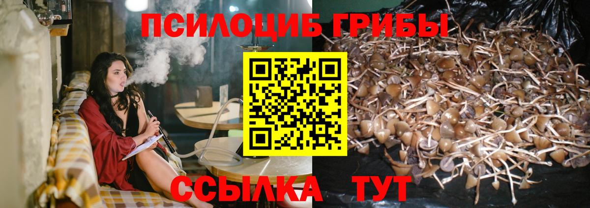 Псилоцибиновые грибы GOLDEN TEACHER Кинель