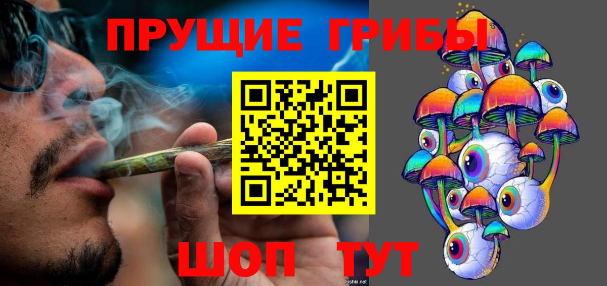 дарнет шоп  Псилоцибиновые грибы Psilocybine cubensis  Псилоцибиновые грибы GOLDEN TEACHER  Вход с VPN  Кинель 