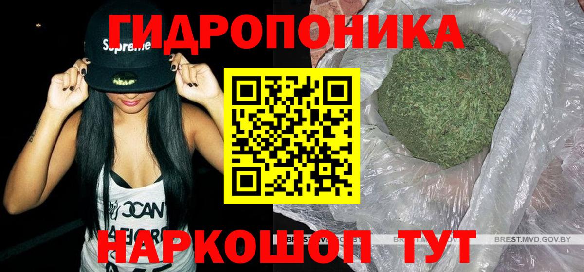 Бошки марихуана Bruce Banner  Вход с VPN  Марихуана Bruce Banner  Конопля семена  Кинель 